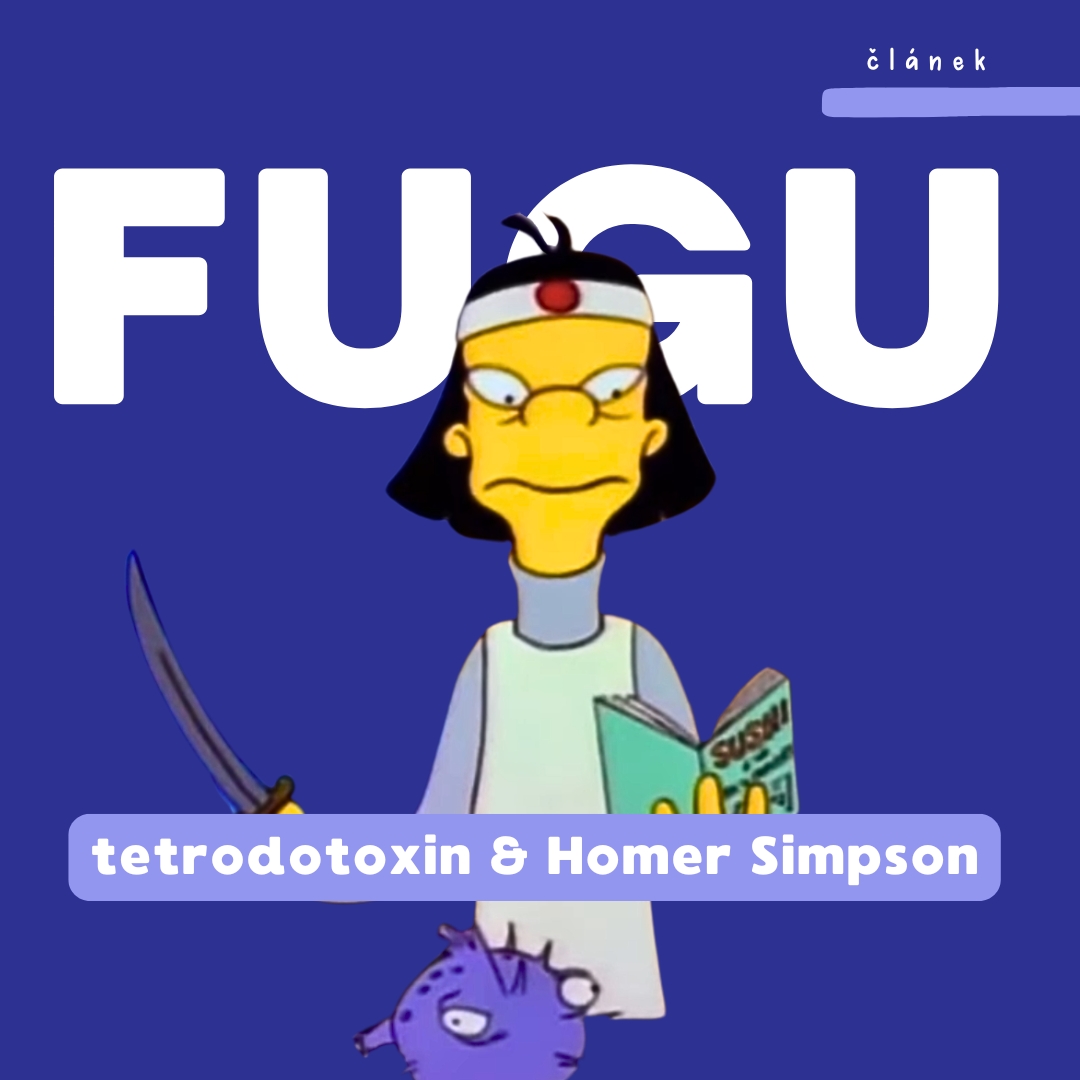 Chyby ve filmech - fugu, tetrodotoxin a Simpsonovi - Medikards